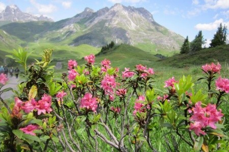 Lechtalské Alpy - ráj alpské turistiky - 27
