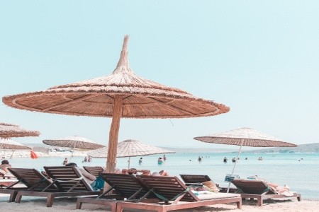 Cocos The Club Solto - 85