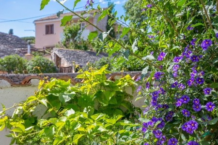 Apartmány 3298-4194 - 67