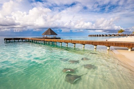 Maldivy  Sun Siyam Villu Reef Maldives 15 dňový pobyt All Inclusive Letecky Letisko: Praha September 2026 (20/09/26- 4/10/26)