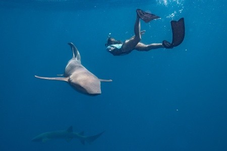 Maldivy  Sun Siyam Villu Reef Maldives 15 dňový pobyt All Inclusive Letecky Letisko: Praha September 2026 (20/09/26- 4/10/26)