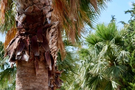 Village Heights Golf Resort - 46