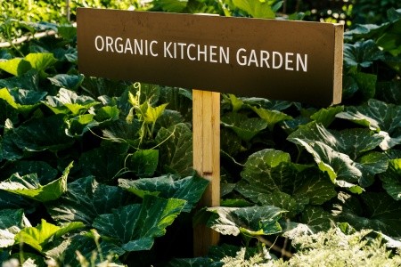 Village Heights Golf Resort - 60