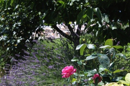 Apartmány 3298-988 - 11