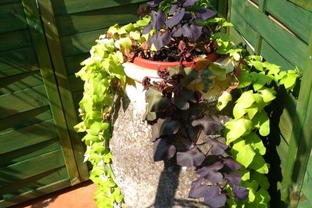 Apartmány 3298-2846 - 45