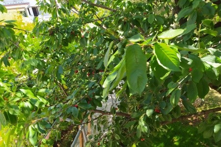 Apartmány 3298-5270 - 35