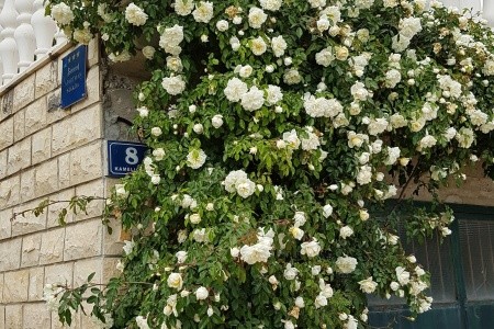 Apartmány 3298-1250 - 28