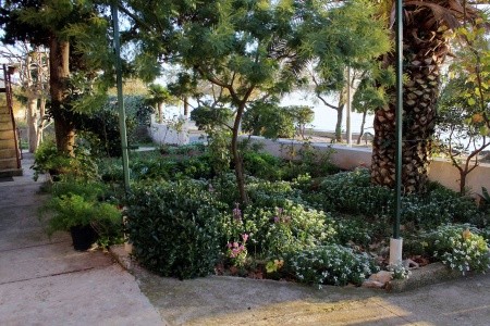 Apartmány 3298-1239 - 29