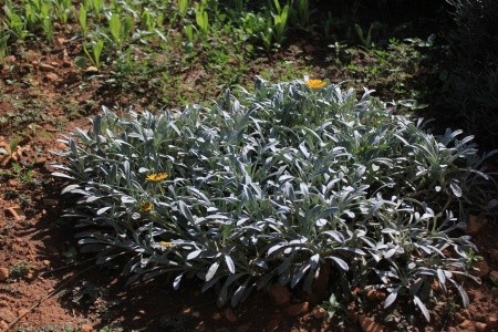 Apartmány 3298-435 - 48