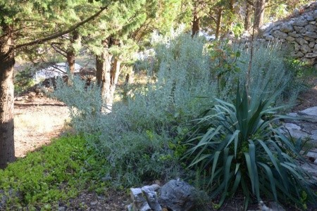 Robinzonáda 3298-2664 - 16