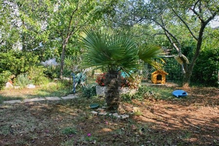 Apartmány 3298-383 - 11