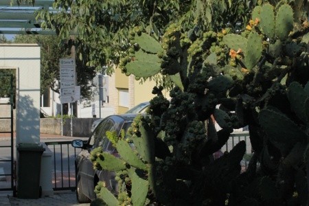 Apartmány 3298-1455 - 12