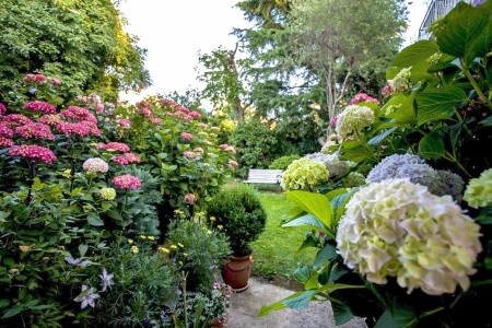 Apartmány 3298-6906 - 13