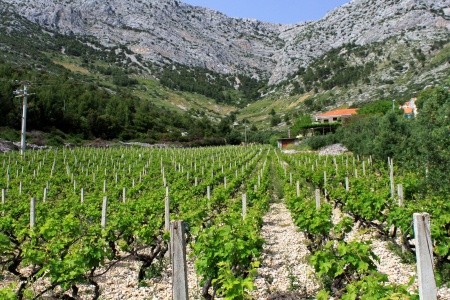 Apartmány 3298-159 - 67