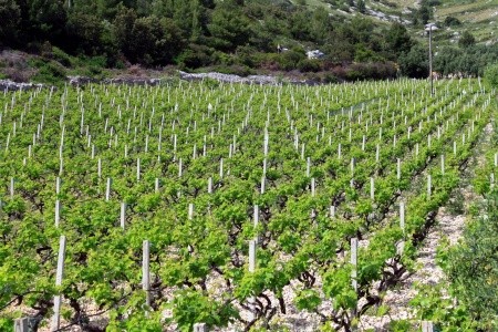 Apartmány 3298-159 - 68