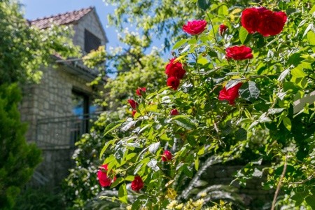 Apartmány 3298N-7716 - 64