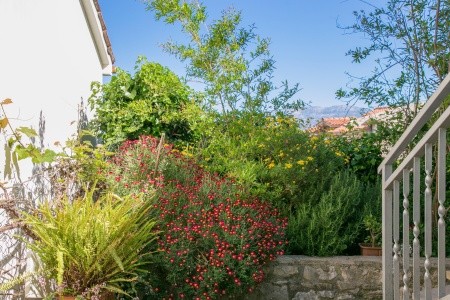 Apartmány 3298N-7716 - 67