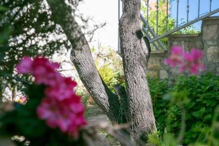 Apartmány 3298N-7716 - 68