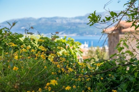 Apartmány 3298N-7716 - 69