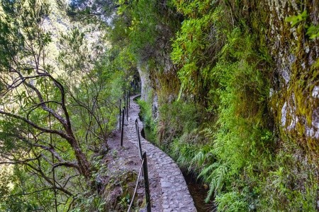 Madeira na Silvestra, odlet z Katovic - 28