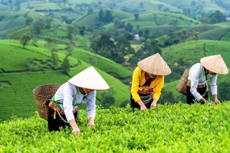 Vietnam: Přírodní krásy a ikonická města - 23