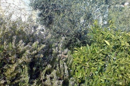 Apartmány 3298-158 - 1