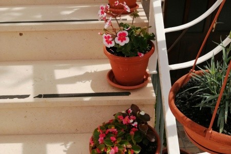 Apartmány 3298-5055 - 19