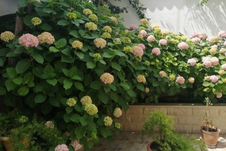 Apartmány 3298-5055 - 18