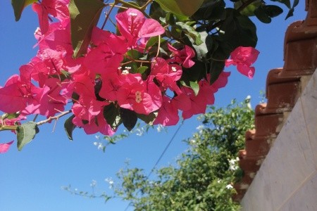 Apartmány 3298-5055 - 16