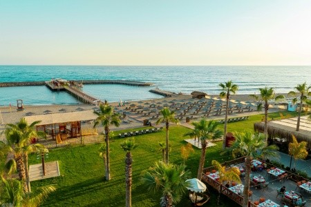 Serenity Queen - 100