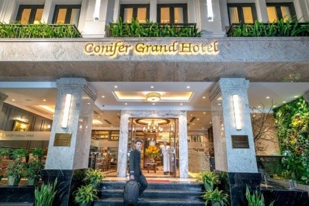 Conifer Grand - 2