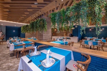 Kirman Calyptus - 10