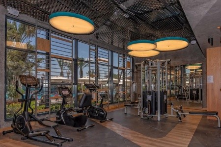 Kirman Calyptus - 16