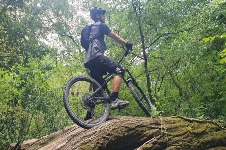 Villa Castel Muschio - 11