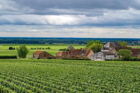 Burgundia - Bor És Kultúra Lyontól Dijonig (Burgundia - Bor És Kultúra Lyontól Dijonig)