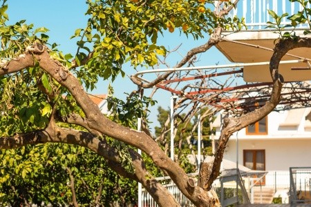 Apartmány 3298-2678 - 43