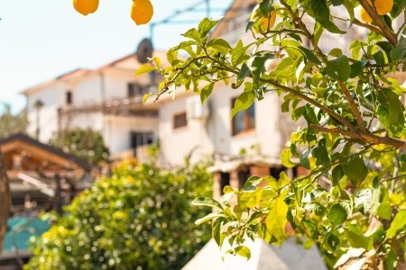 Apartmány 3298-2678 - 44