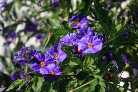 Apartmány 3298-2201 - 74