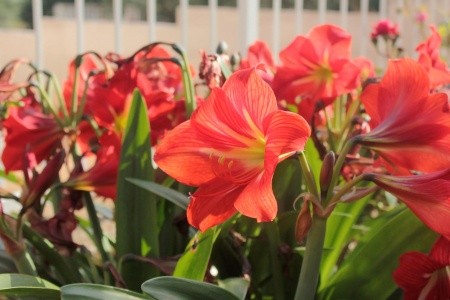 Apartmány 3298-2201 - 75