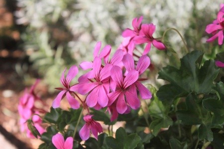 Apartmány 3298-2201 - 76