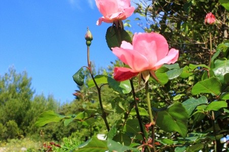 Apartmány 3298-800 - 63