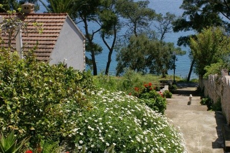 Apartmány 3298-800 - 65