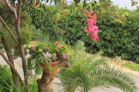 Apartmány 3298-2033 - 41