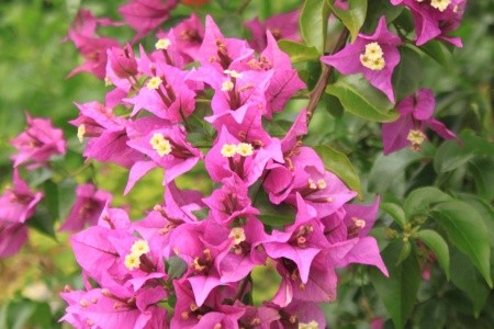 Apartmány 3298-2033 - 42