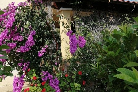 Apartmány 3298-7414 - 13