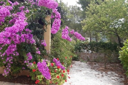 Apartmány 3298-7414 - 14