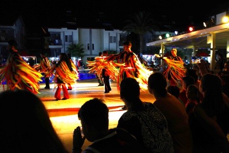 Sunlight Garden - 26