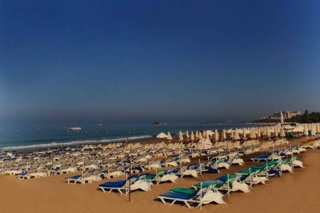 Sunlight Garden - 22