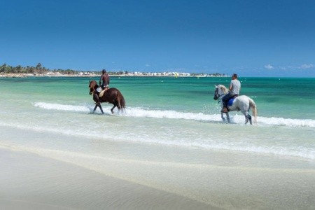 Hari Club Beach Resort (Ex. Cooee Hari Club Beach Resort Djerba) - 34