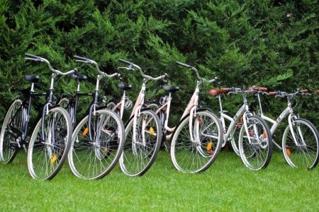 Villa Vigneto (Brtonigla) - 35